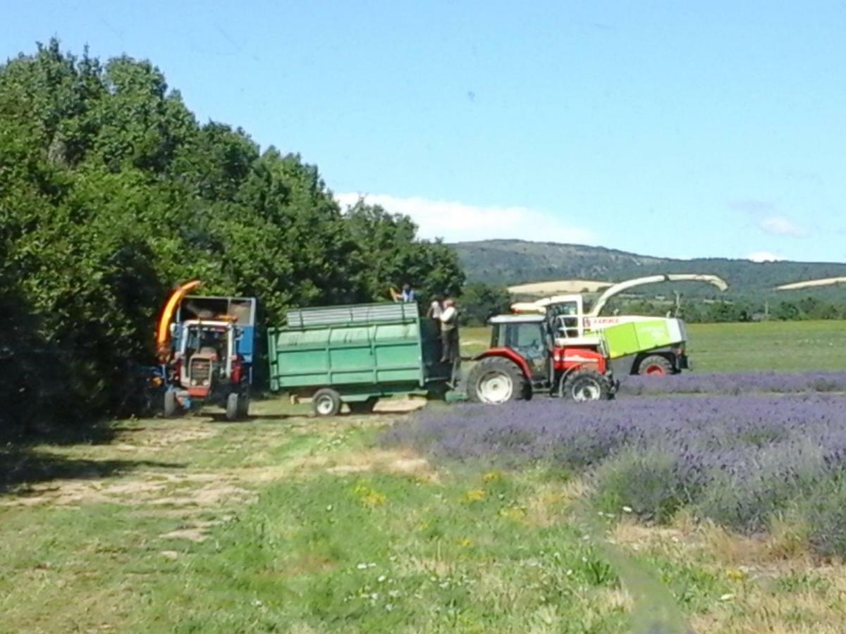 Chambre Pour Cyclistes Au Mt Ventoux Le Barroux Eksteriør bilde